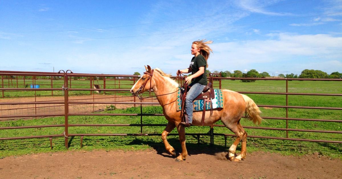 2024 Wild Horse And Burro Event Schedule Bureau Of Land Management   10.22.16 Megan AndMustangElla InternetAdoption2 PaulsValley 